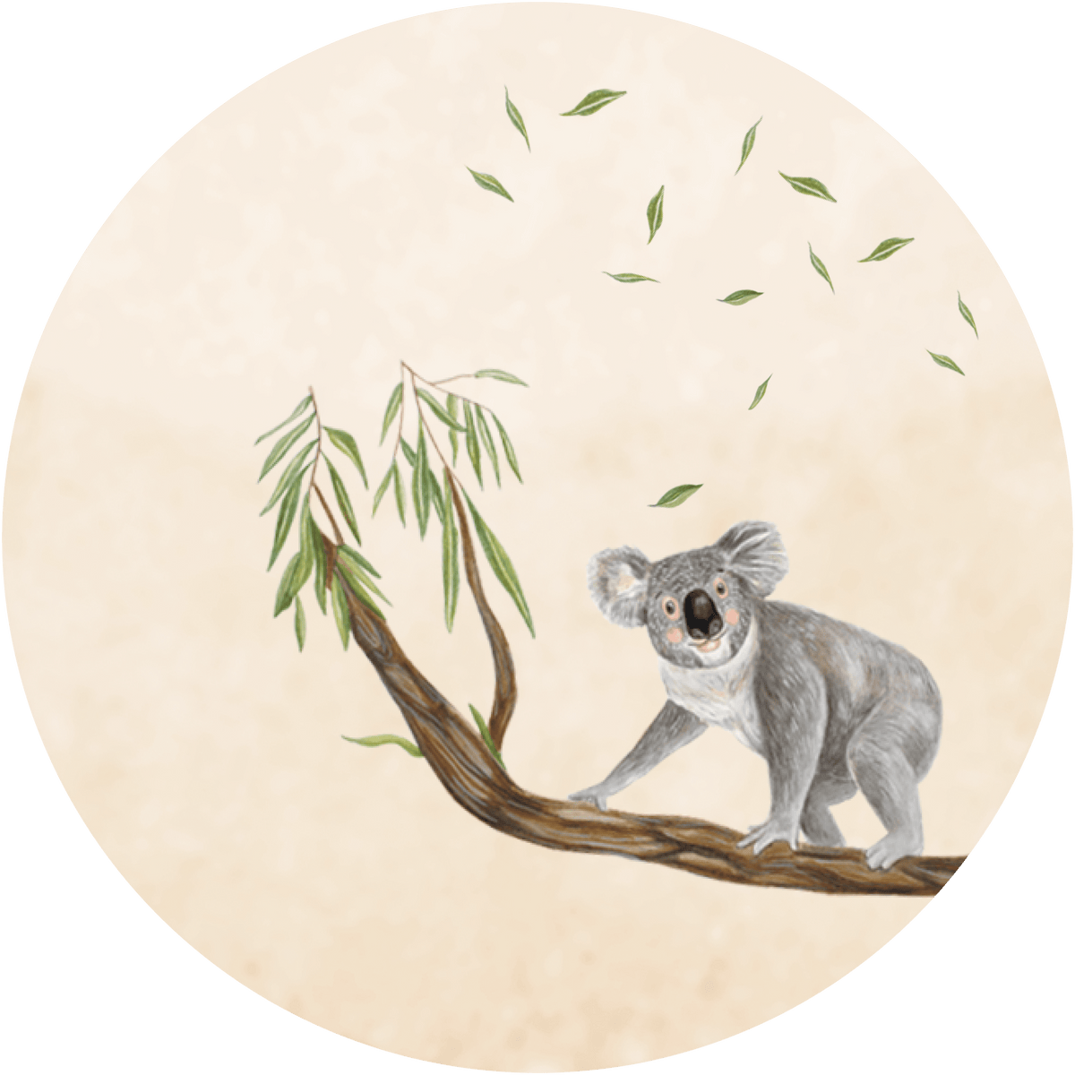 Hueppi The Koala washable children's rug on transparent background