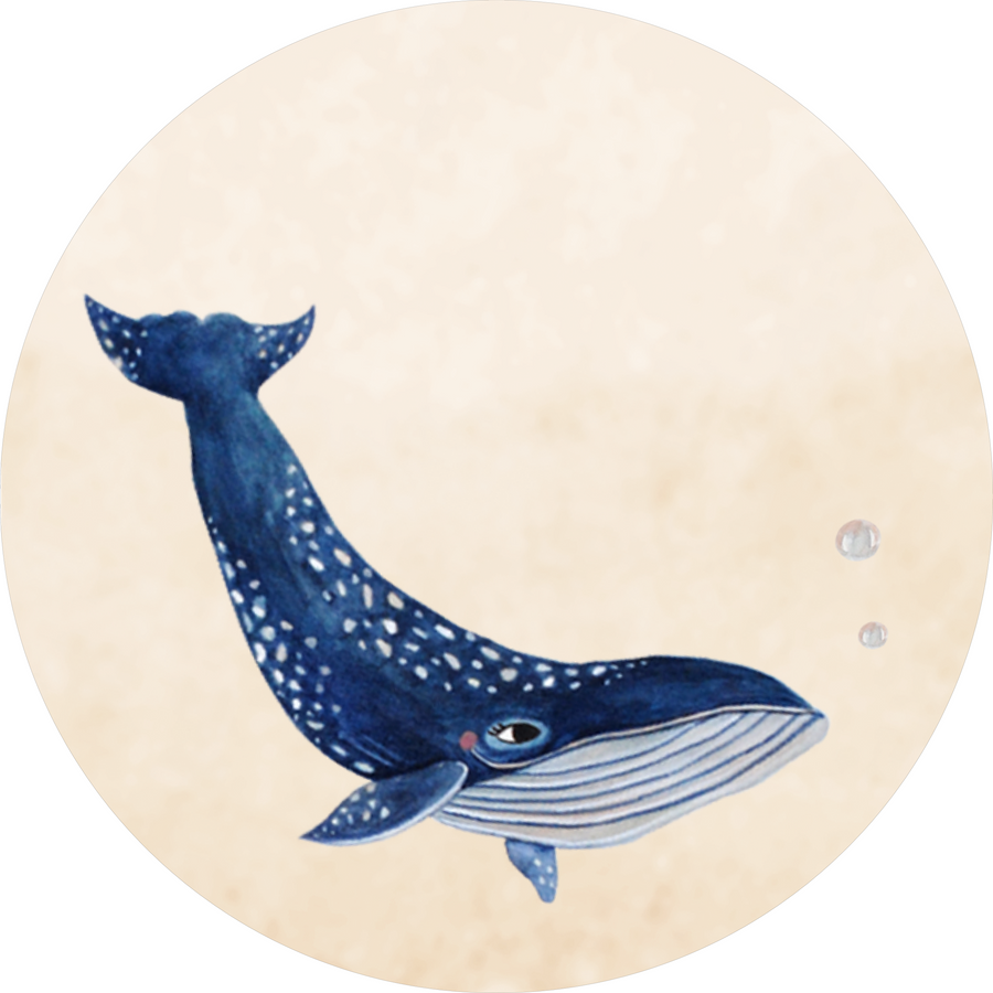 The Whale Kids' Rug – Imperfectly Perfect