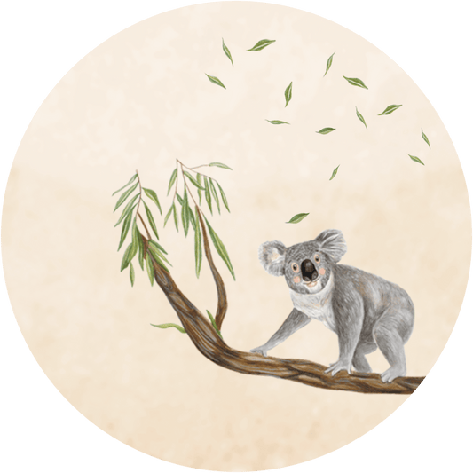 Hueppi The Koala washable children's rug on transparent background